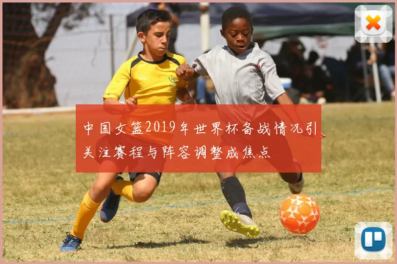 中国女篮2019年世界杯备战情况引关注赛程与阵容调整成焦点