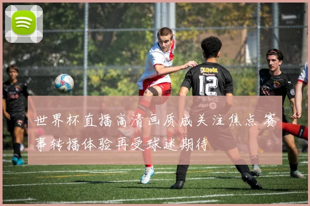 世界杯直播高清画质成关注焦点 赛事转播体验再受球迷期待
