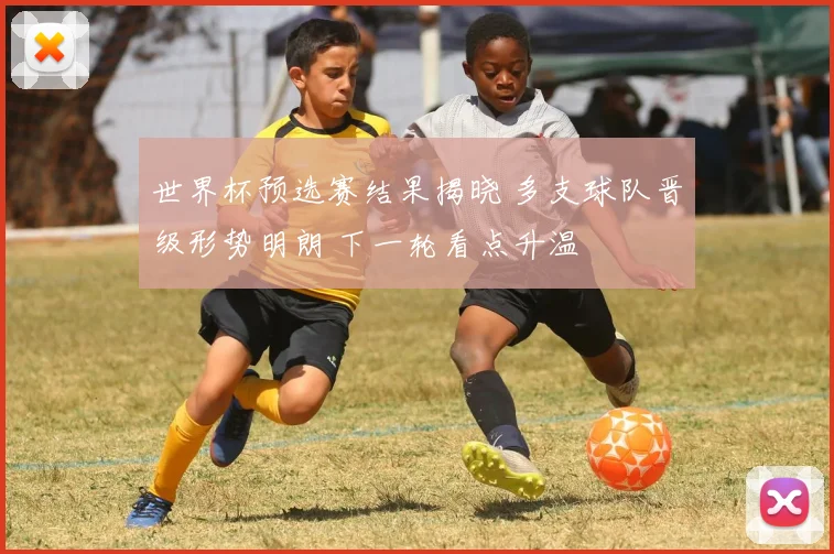 世界杯预选赛结果揭晓 多支球队晋级形势明朗 下一轮看点升温