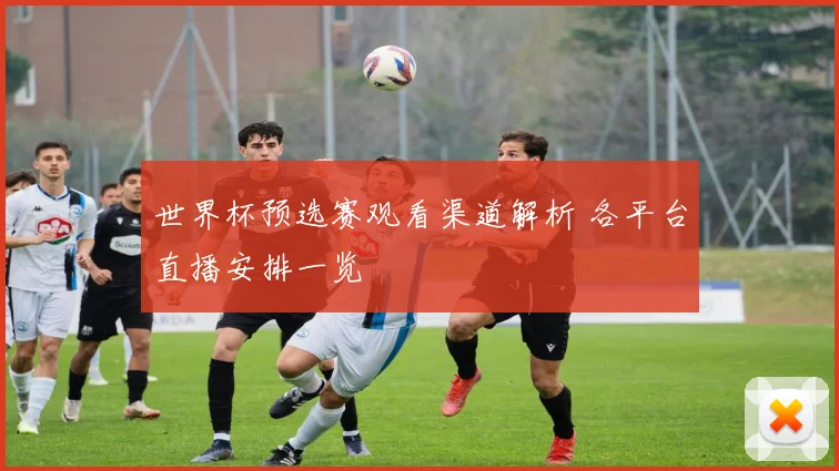 世界杯预选赛观看渠道解析 各平台直播安排一览